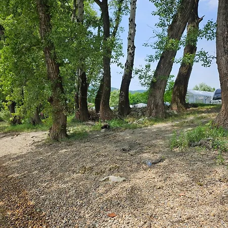 Mobile House In Yacht Apartment *